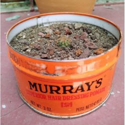 Nice #reuse @elbigad13 and @tilazrc!

How are you repurposing your Murray’s can?🟠

#murrayspomade #theorangecan #creatives